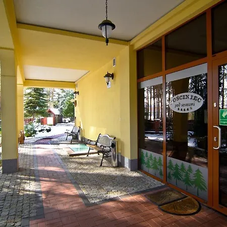 Hotelik Gosciniec Pod Sosnami Drzonkow Zielona Gora  Exterior photo